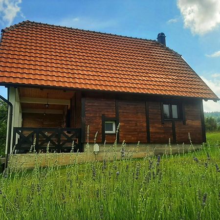 Planinska Kuca Olga-Tara Villa Bajina Basta Luaran gambar